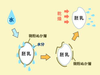 イケノベの無洗米は、炊きやすさに優れた「スーパージフライス（SJR）方式」を採用