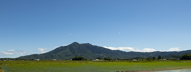 田園風景